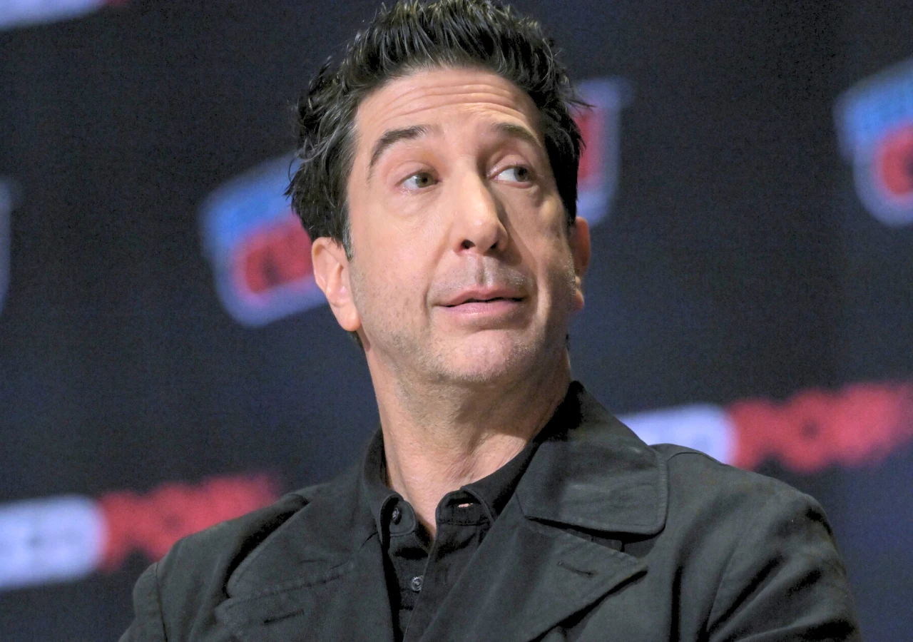 David Schwimmer David Schwimmer
