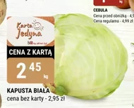 Kapusta biała