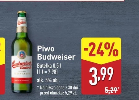 Piwo Budweiser