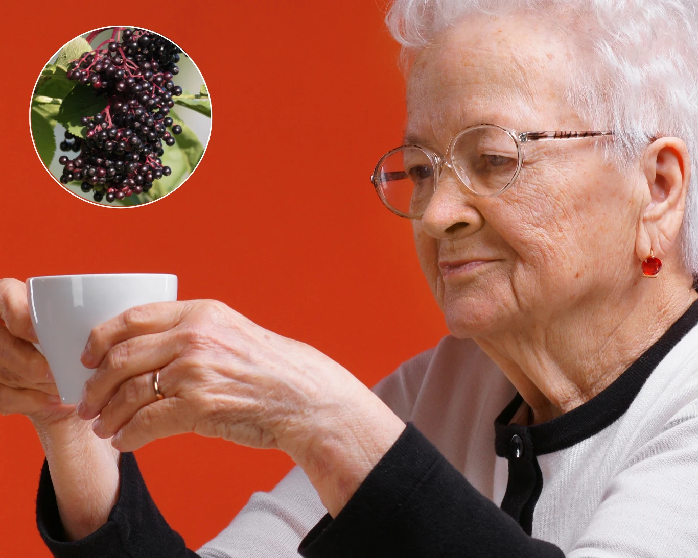 Sok z czarnego bzu ma wiele prozdrowotnych właściwości. To dlatego babcie często trzymają go w spiżarniach Sok z czarnego bzu ma wiele prozdrowotnych właściwości. To dlatego babcie często trzymają go w spiżarniach