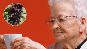 Babcia zawsze miała go w spiżarni. Leczy przeziębienie i przyspiesza odchudzanie