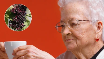 Sok z czarnego bzu ma wiele prozdrowotnych właściwości. To dlatego babcie często trzymają go w spiżarniach