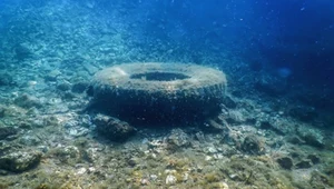 Dwa miliony opon spoczywa na dnie oceanu. To efekt fatalnego eksperymentu