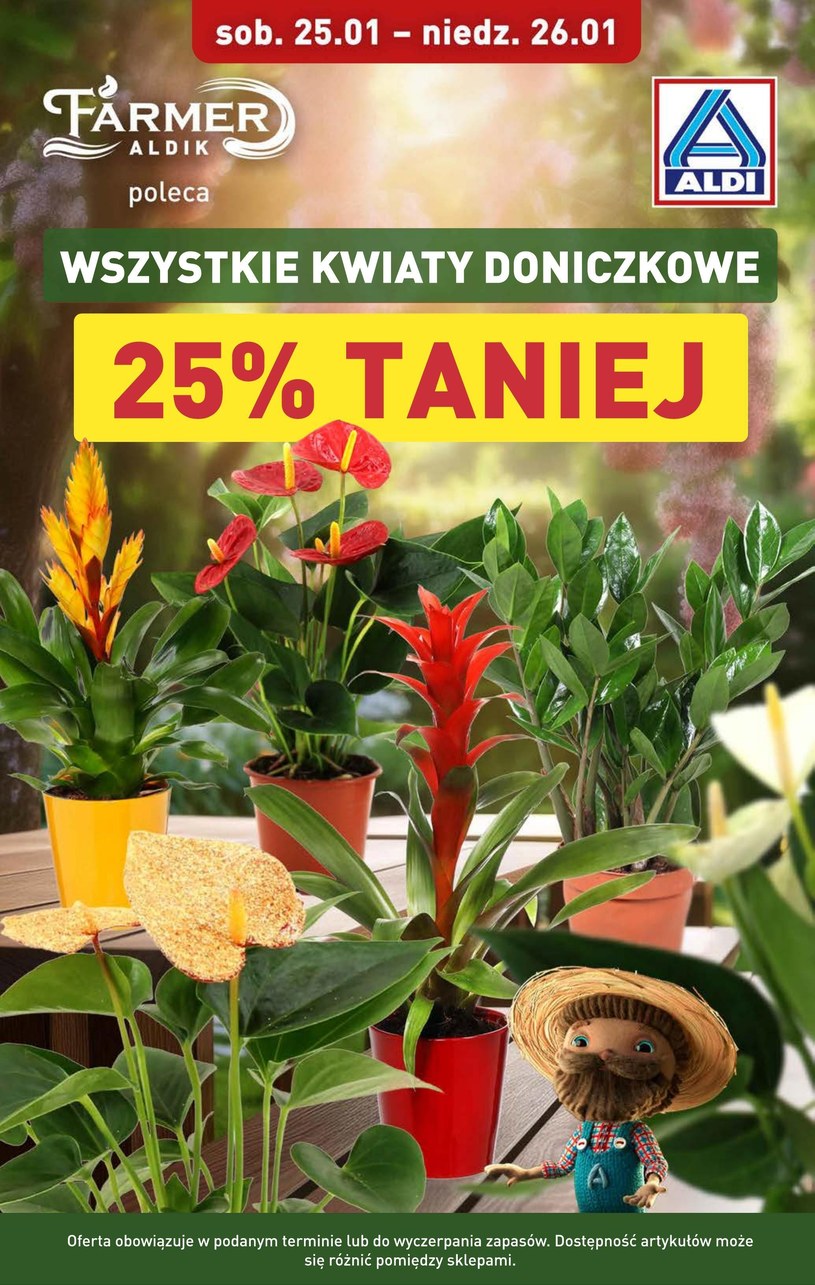 Gazetka: Weekendowe okazje! - Aldi - strona 5