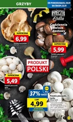 Hity tygodnia w rozmiarze XXL - Lidl