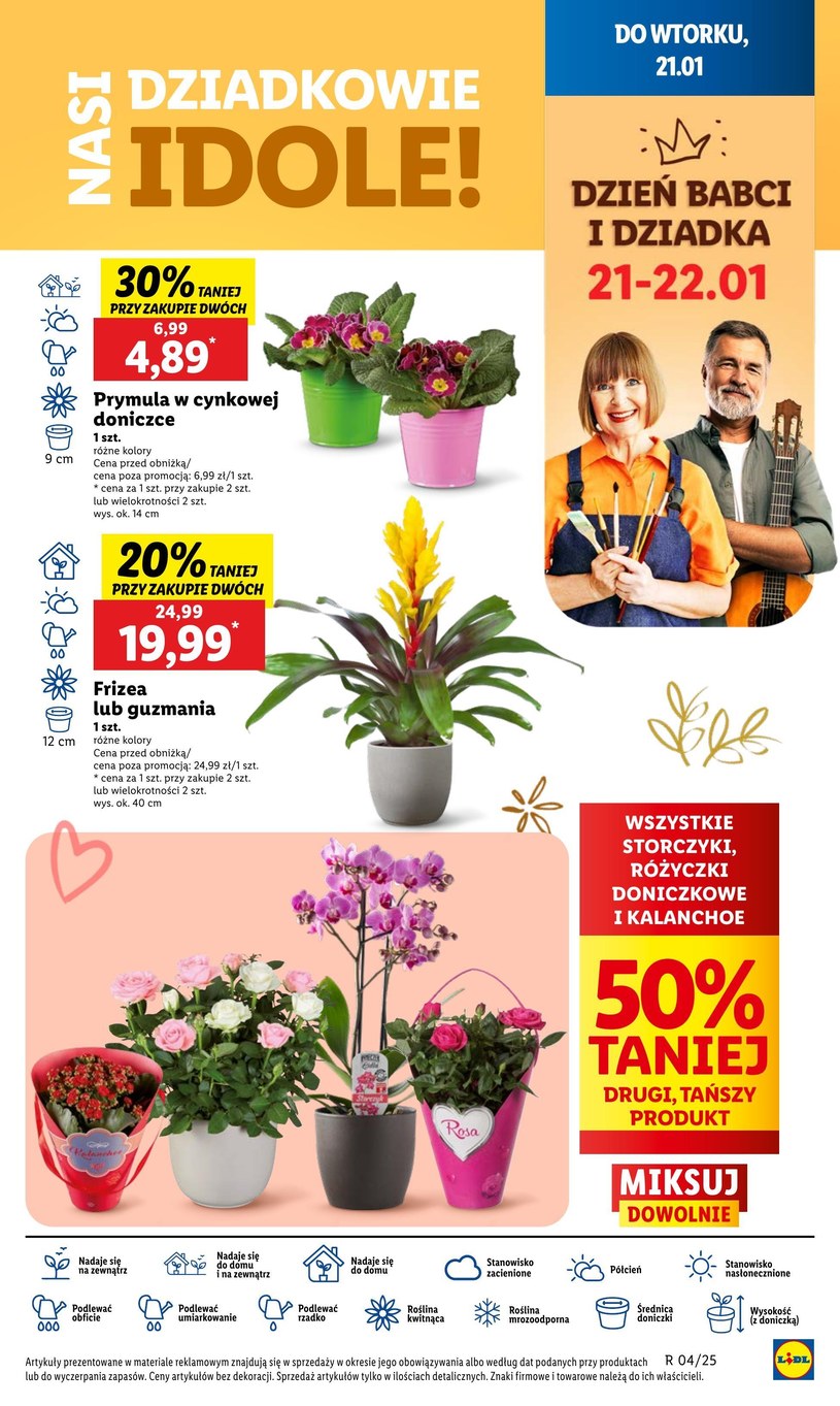 Gazetka: Hity tygodnia w rozmiarze XXL - Lidl - strona 11