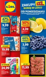 Hity tygodnia w rozmiarze XXL - Lidl