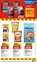 Hity tygodnia w rozmiarze XXL - Lidl