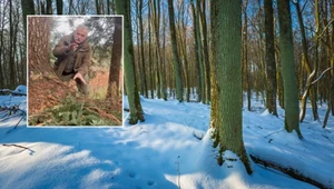 Omijajcie takie miejsca szerokim łukiem - zaapelował bieszczadzki leśnik, stojąc nad barłogiem