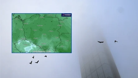 Gęste mgły opanowały dużą część Polski. Miejscami ograniczają widzialność do 100 metrów. Przed południem powinny jednak zaniknąć