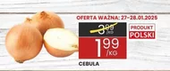 Cebula Polski