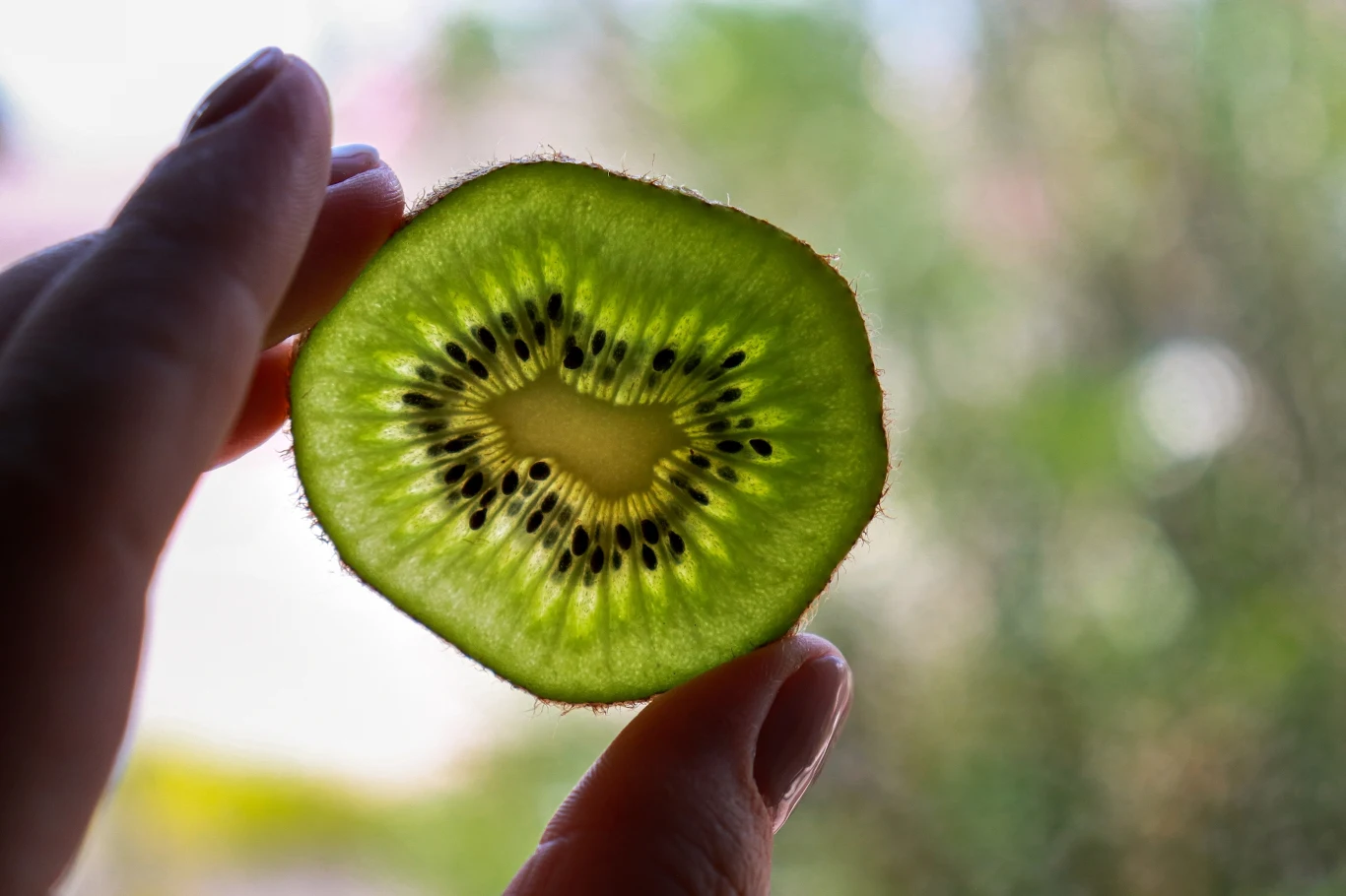 Klasyczne kiwi posiada skórkę z włoskami, natomiast skórka minikiwi jest gładka, dlatego owoc można spożywać bez obierania Klasyczne kiwi posiada skórkę z włoskami, natomiast skórka minikiwi jest gładka, dlatego owoc można spożywać bez obierania