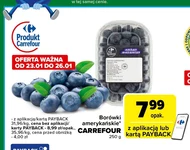 Borówki amerykańskie Carrefour