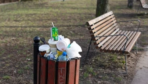 Wyrzucasz to do koszy na śmieci w parku lub przy ulicy? Możesz za to słono zapłacić