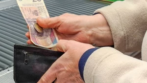 41 groszy więcej, ZUS podał nową kwotę średniej emerytury. Masz tyle? (zdjęcie ilustracyjne)