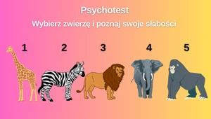 Test osobowości: Wybierz zwierzę i poznaj swoje największe słabości