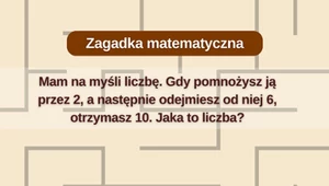 Test na inteligencję: Zagadka, z którą nie poradziło sobie 95% internautów