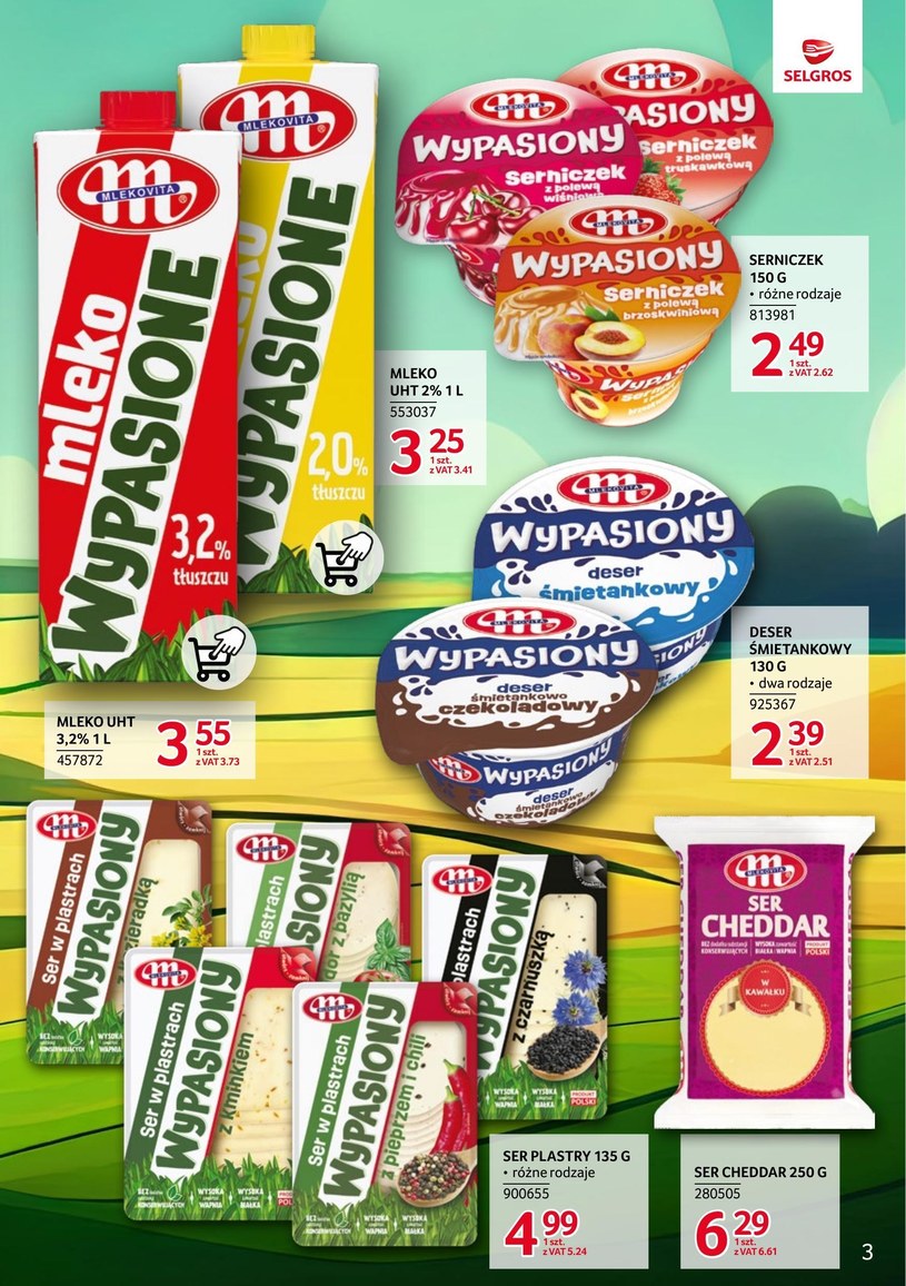 Gazetka: Markowe produkty - Selgros Cash&Carry - strona 3