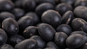 Czarną fasolę powinny jeść kobiety w menopauzie i pacjenci z cukrzycą