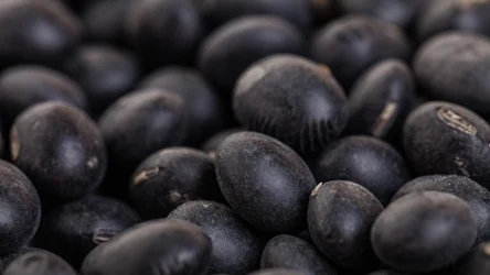 Czarną fasolę powinny jeść kobiety w menopauzie i pacjenci z cukrzycą