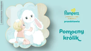 Pomocny królik