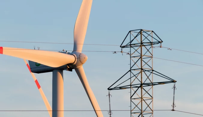 Polska zielenieje. OZE wyprodukowały w czerwcu 2025 r. więcej energii elektrycznej niż węgiel