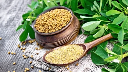 Regularne spożywanie tych nasion wspomaga odchudzanie. Na co jeszcze pomaga kozieradka?