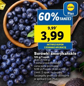 Borówki amerykańskie Plus-Plus niska cena