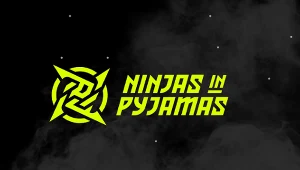Ninjas in Pyjamas