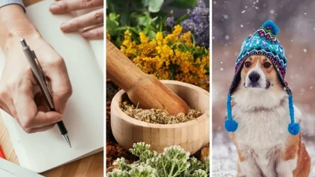 Ile punktów zdobędziesz? 