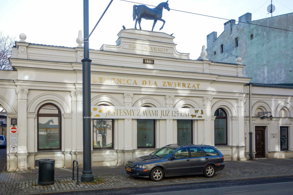 Łódzka lecznica "Pod koniem" trafiła na sprzedaż. Sprzedaje ją właścicielka z USA (zdj. z 2019 r.)