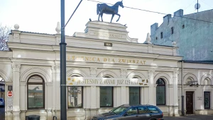 Łódzka lecznica "Pod koniem" trafiła na sprzedaż. Sprzedaje ją właścicielka z USA (zdj. z 2019 r.)