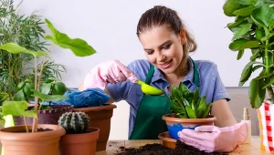 Rozsyp je na podstawce i połóż doniczkę. Szybko sobie podziękujesz 