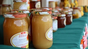 Sprowadzamy tony miodu z Ukrainy. Polskiego nie wystarcza