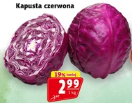 Kapusta czerwona