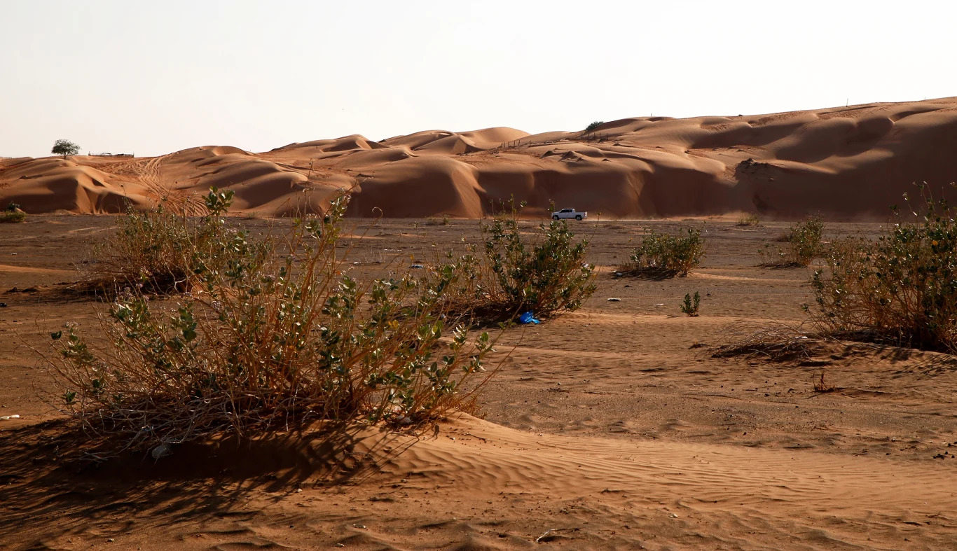 Sharqiya Sands w Omanie.