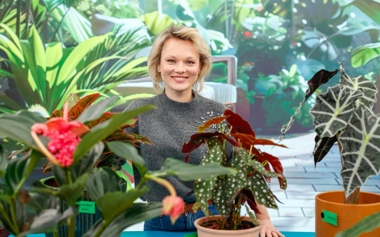 Najmodniejsze rośliny 2025 roku 