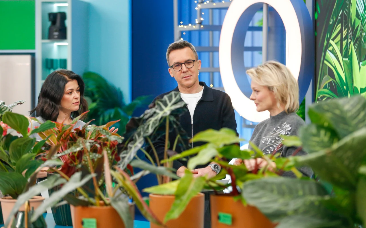 Trendy na naszych balkonach 