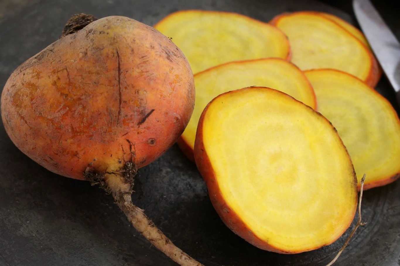 W przeciwieństwie do czerwonej odmiany żółty burak nie brudzi. Powinni go jeść panowie, ale dla pań też jest wskazany W przeciwieństwie do czerwonej odmiany żółty burak nie brudzi. Powinni go jeść panowie, ale dla pań też jest wskazany