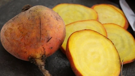 W przeciwieństwie do czerwonej odmiany żółty burak nie brudzi. Powinni go jeść panowie, ale dla pań też jest wskazany