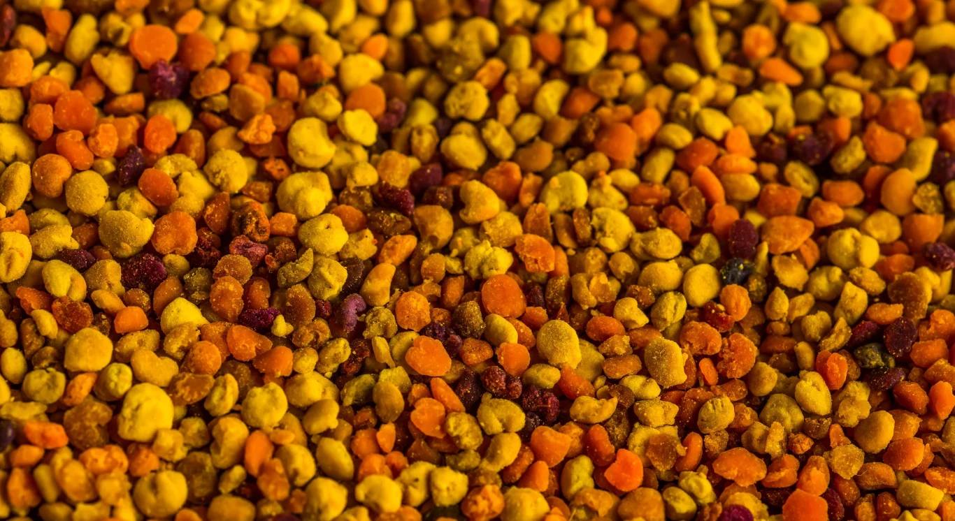 Jak stosować pyłek pszczeli? Jak stosować pyłek pszczeli?