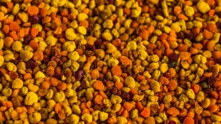 Jak stosować pyłek pszczeli?