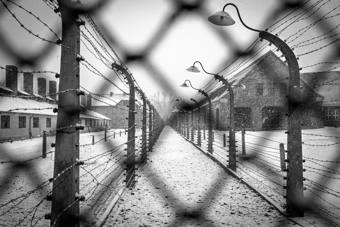 W 80. rocznicę wyzwolenia Auschwitz przypominamy wydarzenia, jakie rozegrały się na różnych etapach funkcjonowania obozu oraz sylwetki więzionych tam osób. W 80. rocznicę wyzwolenia Auschwitz przypominamy wydarzenia, jakie rozegrały się na różnych etapach funkcjonowania obozu oraz sylwetki więzionych tam osób.