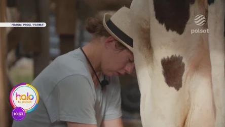 W ''Farmie'' rządzą emocje. Psycholog radzi, jak umiejętnie poradzić sobie z nadmiarem obowiązków