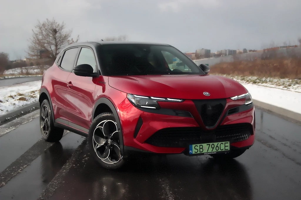 Alfa Romeo Junior. Stylizacja przedniej części nadwozia może budzić kontrowersje