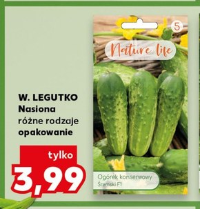 Ogórek Legutko niska cena