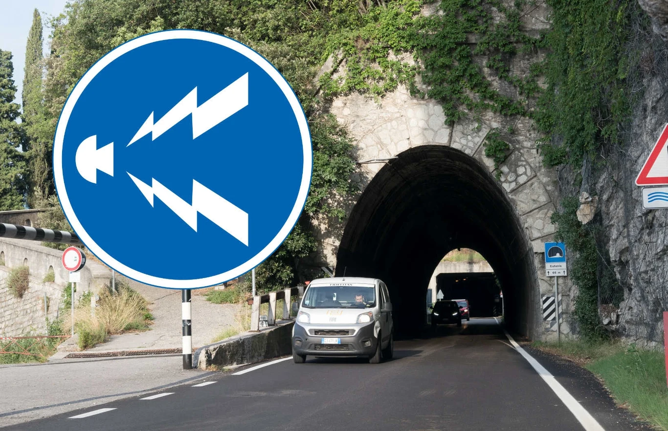 Grzybek i pioruny to znak, na który nie trafimy w Polsce Grzybek i pioruny to znak, na który nie trafimy w Polsce