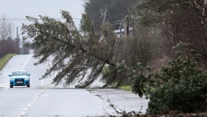 Irlandia Północna. Niszczycielskie skutki przejścia cyklonu Éowyn (zdjęcie ilustracyjne)