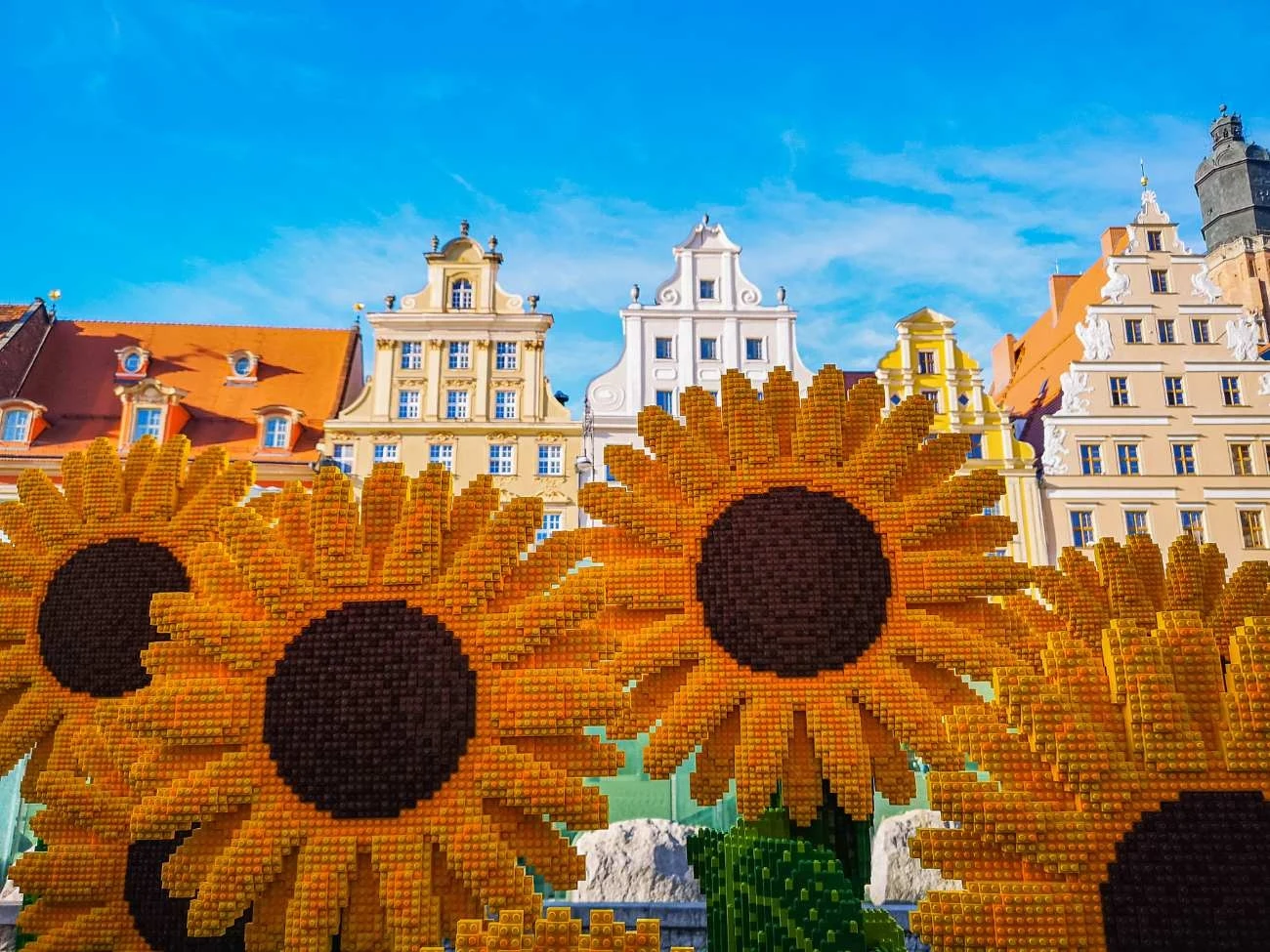 Słoneczniki z klocków Lego we Wrocławiu