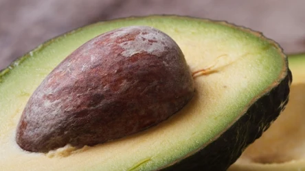 Co zrobić, jeśli awokado jest twarde?